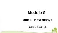 小学英语外研版 (三年级起点)三年级上册Module 5Unit 1 How many?课堂教学课件ppt