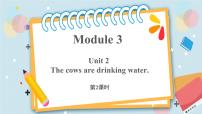 小学英语外研版 (三年级起点)六年级下册Unit 2 The cows are drinking water精品ppt课件
