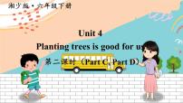 小学英语湘少版六年级下册Unit 4 Planting trees is good for us示范课ppt课件