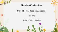 教科版 (广州)四年级下册Unit 11 I was born in January优秀习题ppt课件