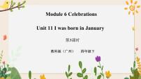 小学英语教科版 (广州)四年级下册Unit 11 I was born in January优质习题ppt课件
