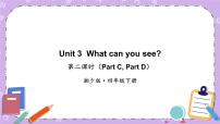 湘少版四年级下册Unit 3 What can you see?完美版课件ppt