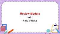 Review Module Unit 1 第1课时课件+教案+素材