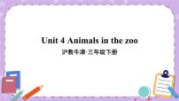 小学英语沪教版三年级下册Module 2 My favourite things.unit4 Animals in the zoo优秀ppt课件