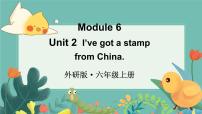 小学英语外研版 (三年级起点)六年级上册Module 6Unit 2 I’ve got a stamp from China.教案配套课件ppt