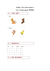 英語滬教牛津版(六三制三起)Module 4 The world around usUnit 11 Small animals課堂檢測