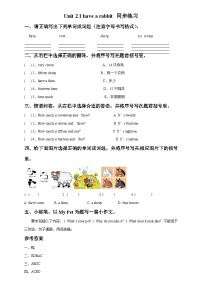 英語(yǔ)二年級(jí)上冊(cè)Unit 2 I have a rabbit精品練習(xí)