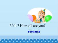 湘魯版三年級上冊Unit 7 How old are you?Section A授課課件ppt