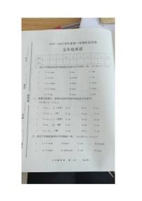 河南省商丘市民权县2023-2024学年五年级上学期期中英语试卷