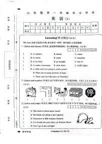 河南省周口市项城市2023-2024学年六年级上学期11月期中英语试题
