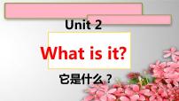 英语新概念英语（青少版）Unit 2 What is it?图片课件ppt
