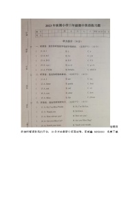 河南省南阳市南召县2023-2024学年三年级上学期期中英语试题(1)