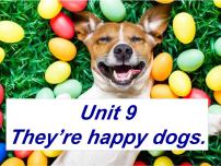 新概念英语（青少版）Starter BUnit 9 They're happy dogs.教课课件ppt