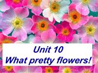 英语Starter BUnit 10 What pretty flowers!图文课件ppt