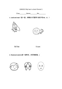 小學英語滬教牛津版(五四制)二年級上冊unit 3 My hair is short同步訓練題