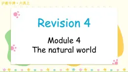 Revision (Module 4)（課件）2024-2025學年牛津上海版（三起）英語六年級上冊