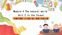 滬教牛津版(五四制)二年級上冊unit 2 In the forest優(yōu)秀ppt課件