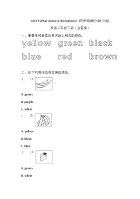 小學(xué)湘少版（2024）Unit 3 What colour is balloon?優(yōu)秀課時作業(yè)