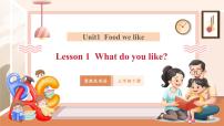 小學(xué)英語Lesson1 What do you like?優(yōu)秀ppt課件