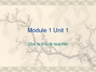 外研版英語三年級(jí)起點(diǎn)四年級(jí)下冊(cè)Module1 Unit1 She is a nice teacher.PPT課件