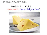 英语外研版三年级起点五年级上册Module2 Unit2 How much cheese did you buy课件