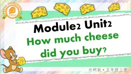 Module 2 unit 2 How much cheese did you buy？课件