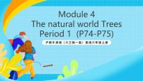 英語六年級上冊Unit 11 Trees完美版課件ppt