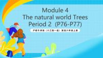小學(xué)滬教牛津版(六三制一起)(2024)Unit 11 Trees評(píng)優(yōu)課ppt課件