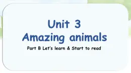 人教版PEP三年級(jí)上冊(cè)英語(yǔ)《Unit 3 Amazing animals》Part B課件
