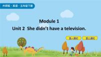 小学英语外研版 (三年级起点)五年级下册Module 1Unit 2 She didn't have a television.精品课件ppt