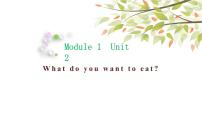 小学英语外研版 (三年级起点)六年级下册Unit 2 What do you want to eat?多媒体教学ppt课件