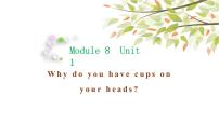 英语Module 8Unit 1  Why do you have cups on your heads?课堂教学课件ppt