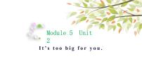 小学英语外研版 (三年级起点)五年级下册Module 5Unit 2 It's too big for you.精品课件ppt