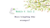 英语三年级下册Unit 2  Does Lingling like oranges?教学演示ppt课件