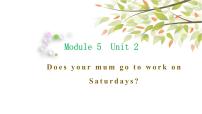 外研版 (三年级起点)三年级下册Unit 2 Does your mum go to work on Saturdays?教学演示课件ppt