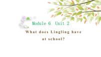 小学英语外研版 (三年级起点)三年级下册Unit 2  What does Lingling have at school?教课课件ppt