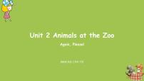 小学英语冀教版 (三年级起点)三年级下册Unit 2 Animals at the Zoo综合与测试说课ppt课件