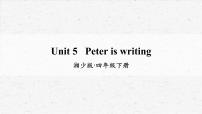 湘少版四年级下册Unit 5 Peter is writing.优秀教学课件ppt