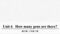 小学英语Unit 6 How many pens are there?说课ppt课件