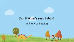 湘少版英語五年級(jí)上冊(cè) Unit 9 What's your hobby PPT課件+素材