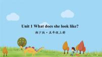 小學(xué)英語湘少版五年級上冊Unit 1 What does she look like?教學(xué)演示課件ppt
