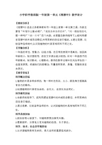 教科版 (2017)一年級(jí)上冊(cè)植物3.觀察葉教學(xué)設(shè)計(jì)