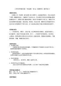 科學(xué)一年級(jí)上冊(cè)3.觀察葉教案