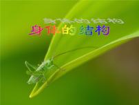 2020-2021學年1、身體的結(jié)構(gòu)圖文ppt課件
