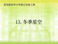 小學(xué)科學(xué)青島版 (五四制)四年級上冊7 冬季星空課前預(yù)習(xí)ppt課件