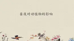 蘇教版五年級(jí)上冊(cè)科學(xué) 第一單元 白天和黑夜《晝夜對(duì)動(dòng)植物的影響》課件