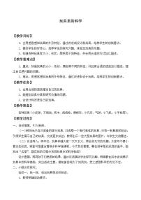 2020-2021學年1. 玩具里的科學教案