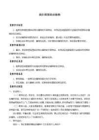 2021學(xué)年2. 我們周圍的動(dòng)植物教學(xué)設(shè)計(jì)