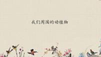 青島版 (六三制)三年級上冊第一單元 科學(xué)在我們身邊2. 我們周圍的動植物多媒體教學(xué)ppt課件