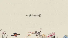 青島版（六三制）三年級上冊 科學(xué) 第三單元 水的科學(xué)《 水面的秘密》課件